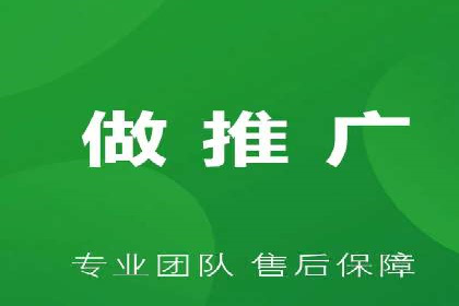短视频平台的SEM推广实践与效果